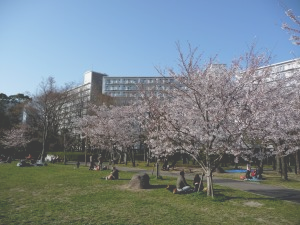 e0047322_22324238.png