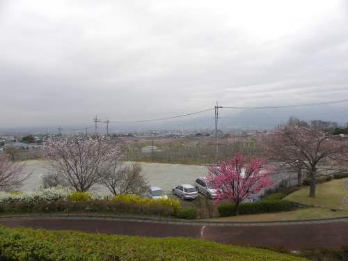 わに塚の桜・桃の郷　2015_f0149924_15275490.jpg