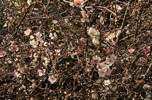b0010426_16404329.jpg