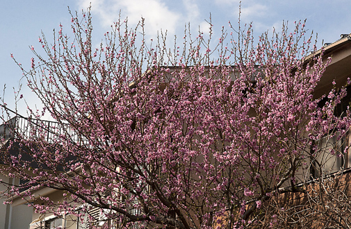 b0010426_16405468.jpg