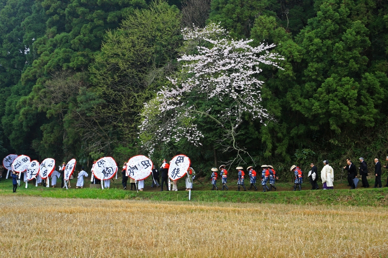 この子が愛し！！　　御田植祭　香取神宮_c0104227_0355312.jpg