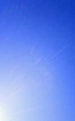 b0279129_1865590.jpg