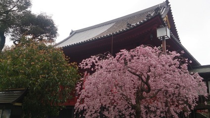 c0108034_23390847.jpg