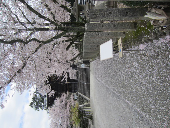 b0238135_20295247.jpg