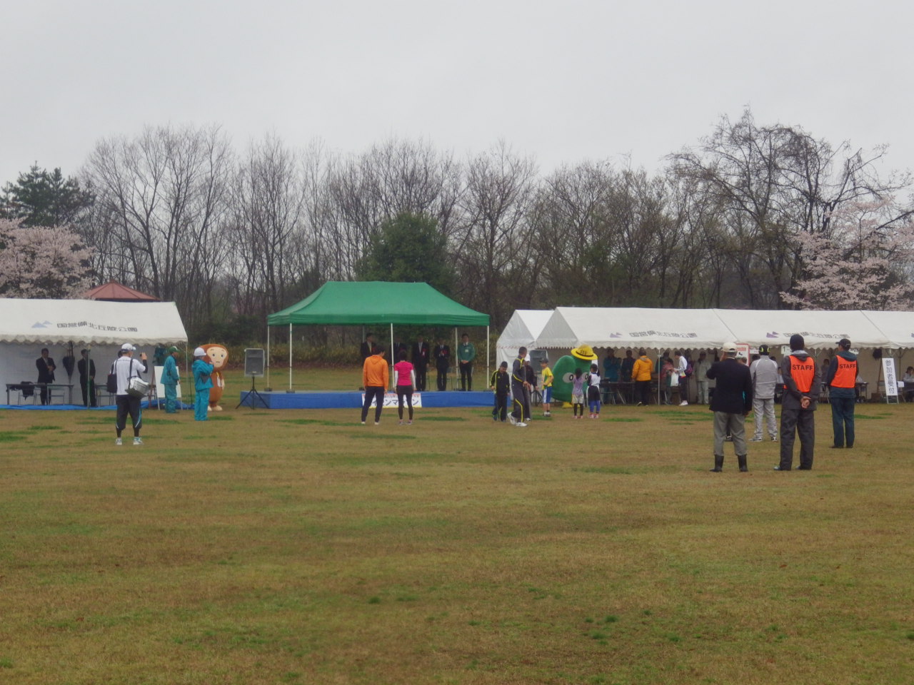 c0300035_11405360.jpg