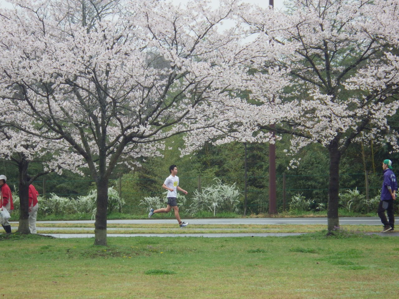 c0300035_848487.jpg