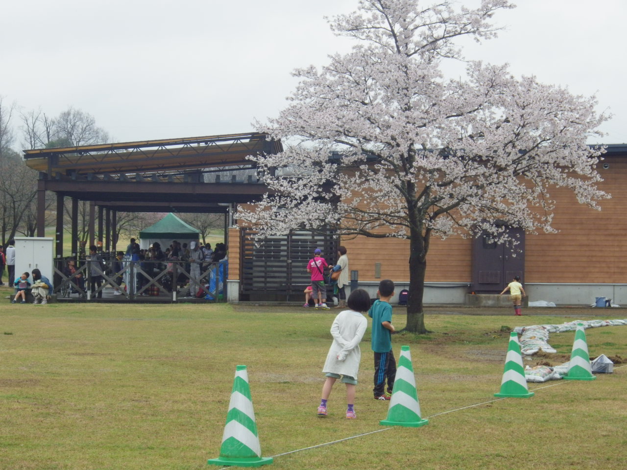 c0300035_8581582.jpg