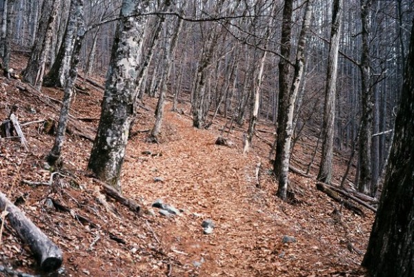 f0251840_10483891.jpg