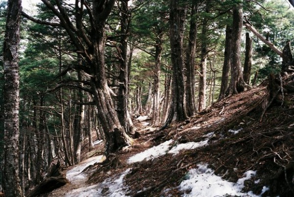 f0251840_11123278.jpg