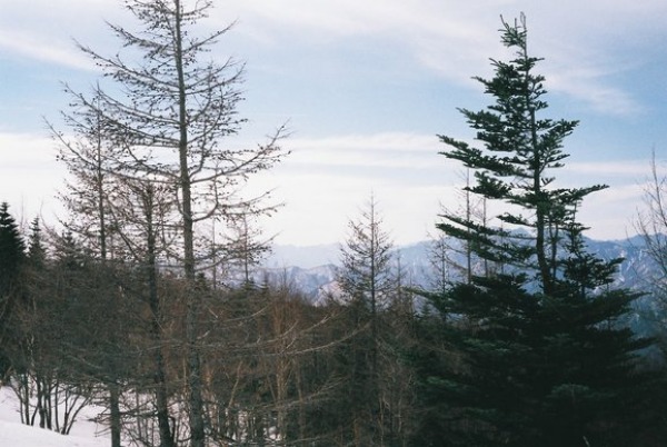 f0251840_11265412.jpg