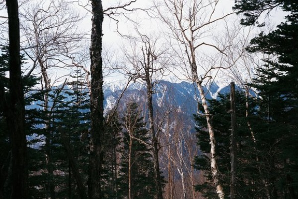 f0251840_11443719.jpg