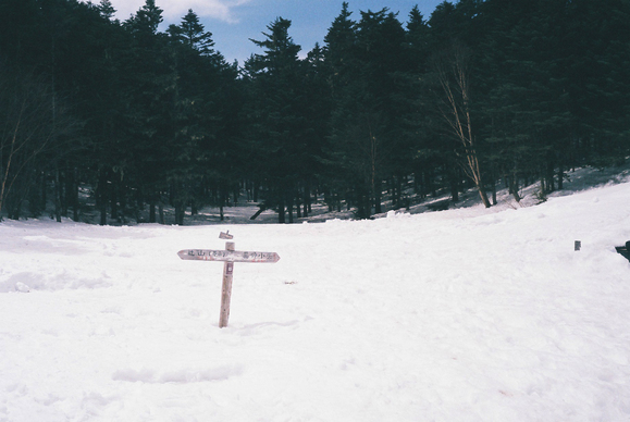 f0251840_132871.jpg