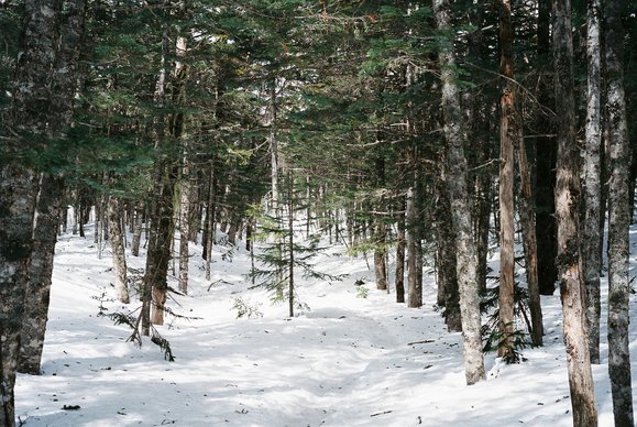 f0251840_1385546.jpg