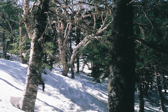 f0251840_1538588.jpg