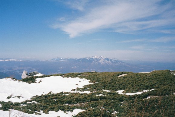 f0251840_1556368.jpg