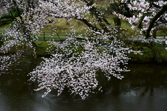 c0093046_924276.gif