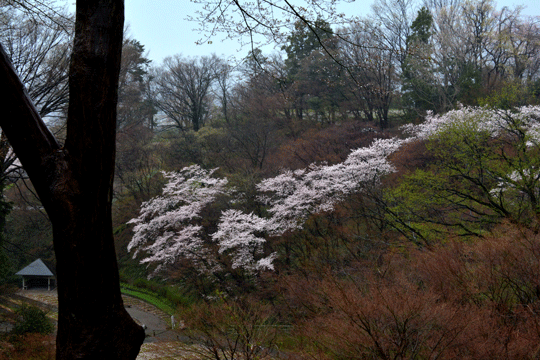 c0093046_925861.gif