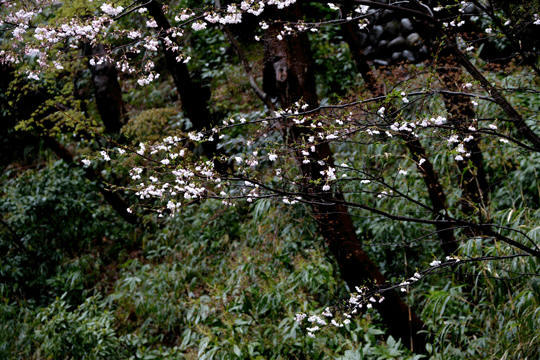 c0093046_934398.gif