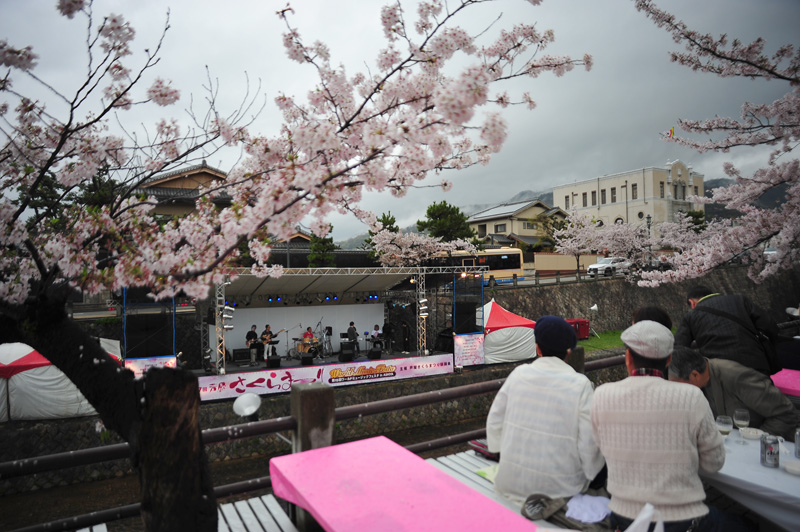 芦屋川散歩　さくらまつり_c0181552_20265755.jpg