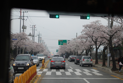 2015　春　韓国旅行②　慶州歴史遺跡地区と仏国寺_d0292262_1813449.jpg