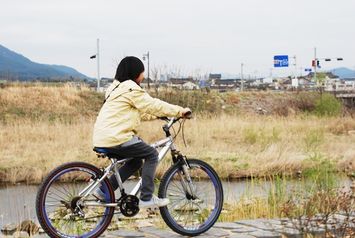 2015　春　韓国旅行③　慶州サイクリング_d0292262_2020338.jpg