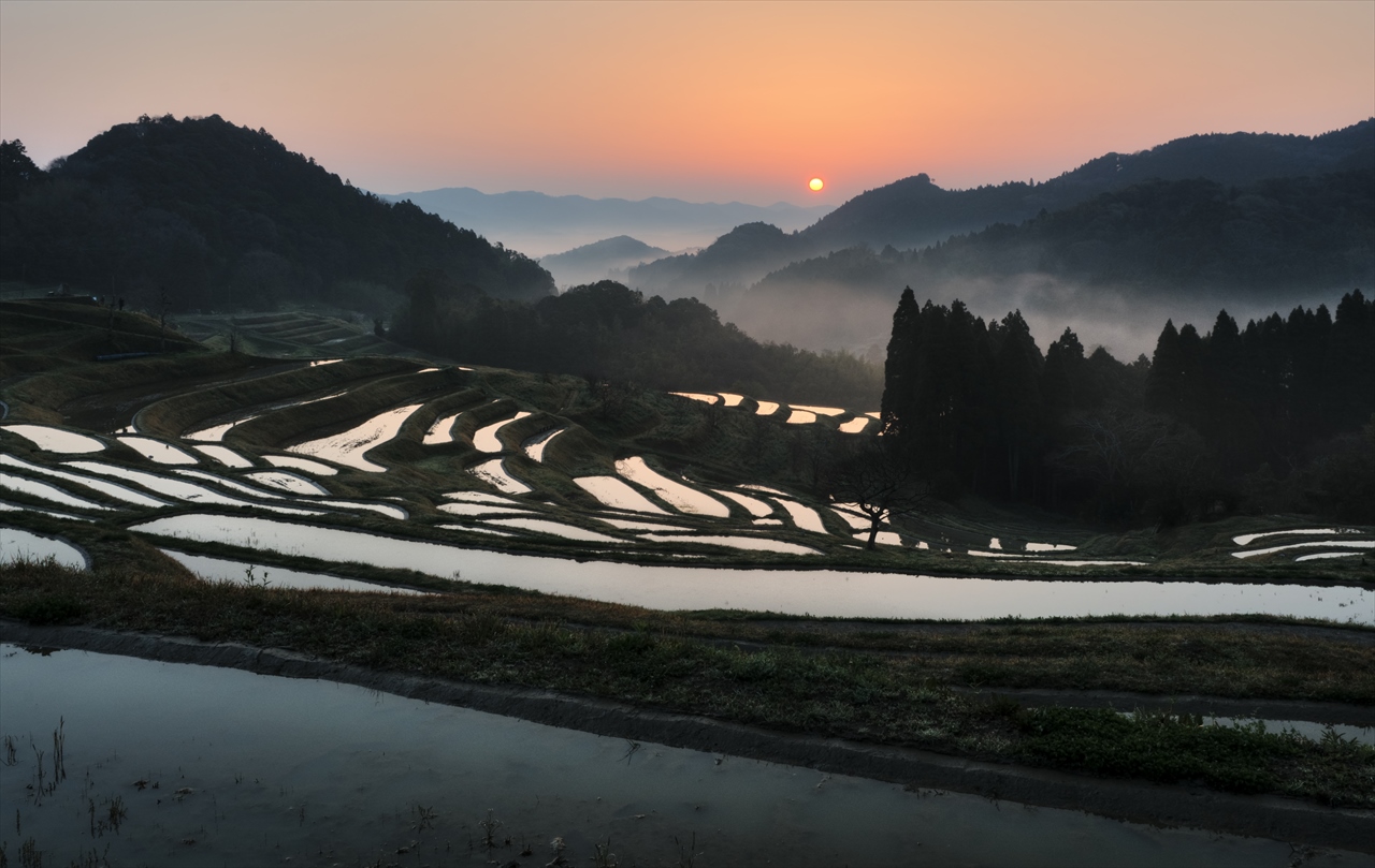 梅の花の咲く頃　～仲春の大山千枚田～　３_f0018464_7234490.jpg