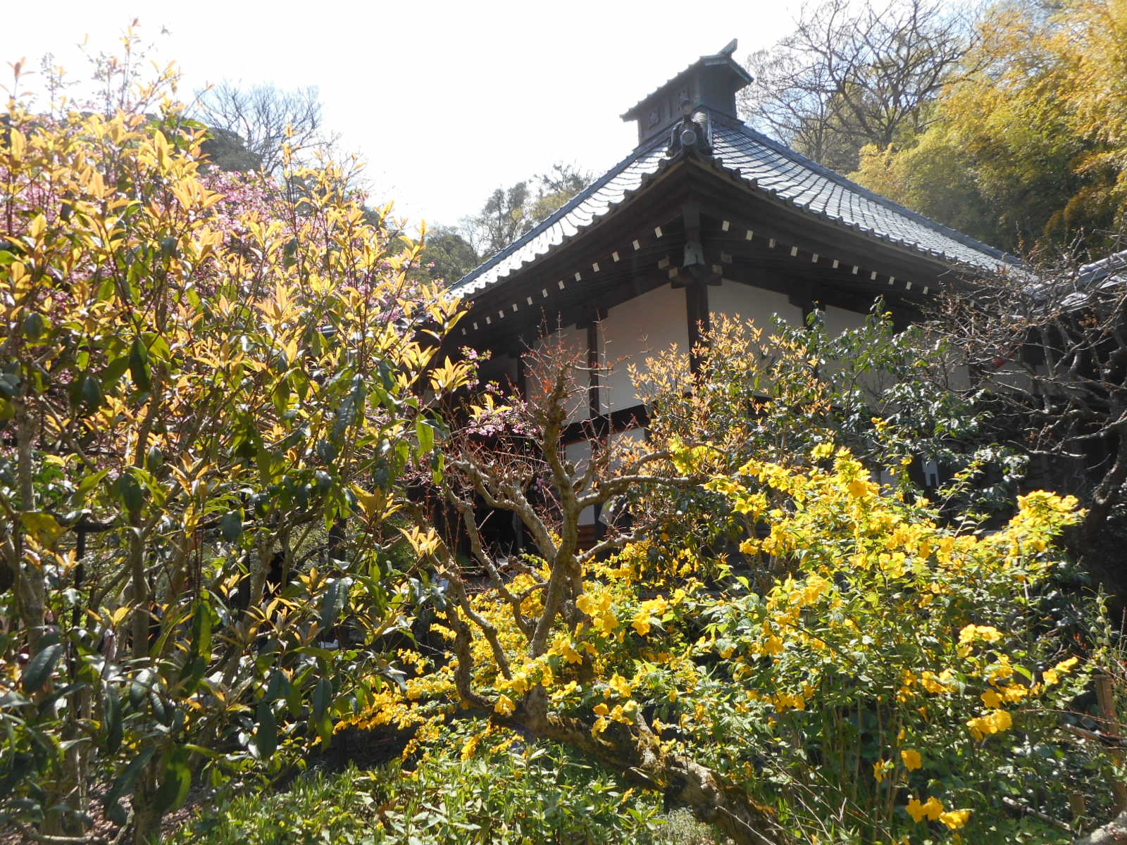 c0336266_22231451.jpg