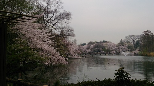 e0212073_6494179.jpg
