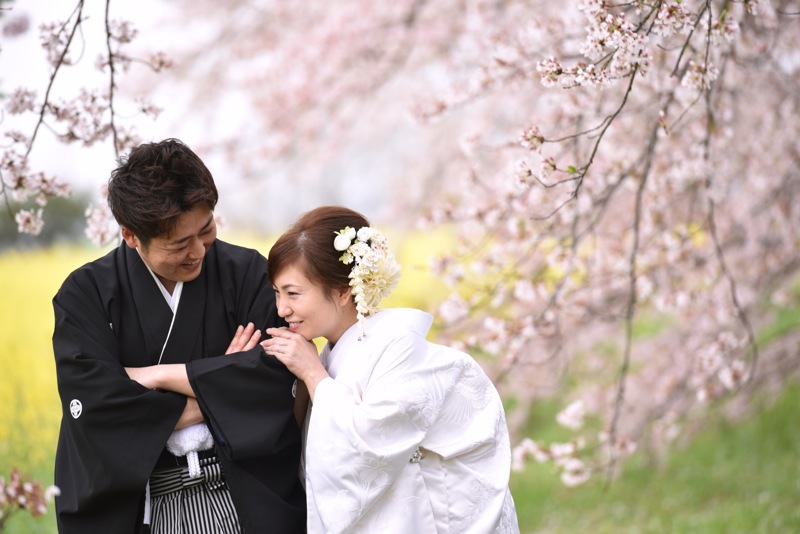 雨の和装ロケーション撮影・白無垢で桜と菜の花、色打掛で苔の絨毯15.4.6_c0324376_20104645.jpg