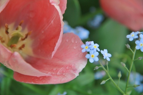 ◆雨の日は・・・陶芸教室の宿題！_e0154682_23345348.jpg