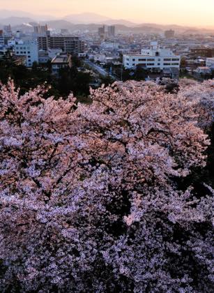 今は桜満開の久松公園......撮影は仁風閣を...._b0194185_22552340.jpg