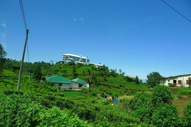 a0130586_16573510.jpg