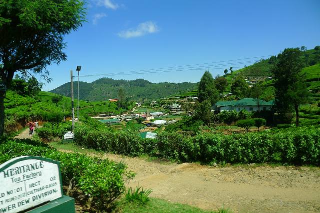a0130586_1657458.jpg