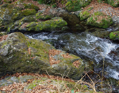 b0123486_823943.jpg
