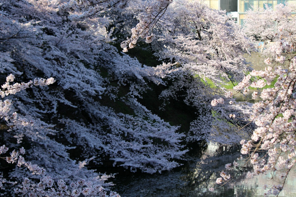 a0127090_21302710.jpg