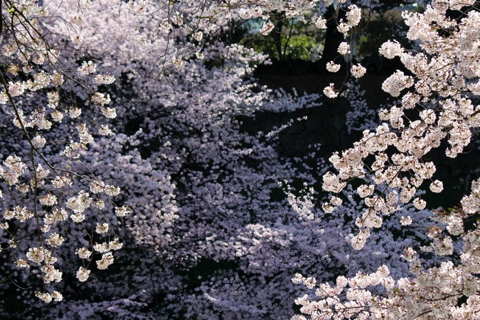 a0127090_21305853.jpg