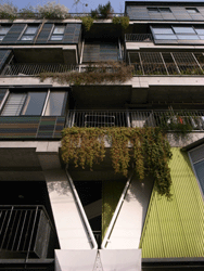 c0220592_1410220.gif