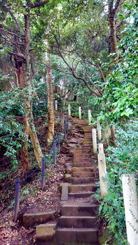 a0224502_1221123.jpg
