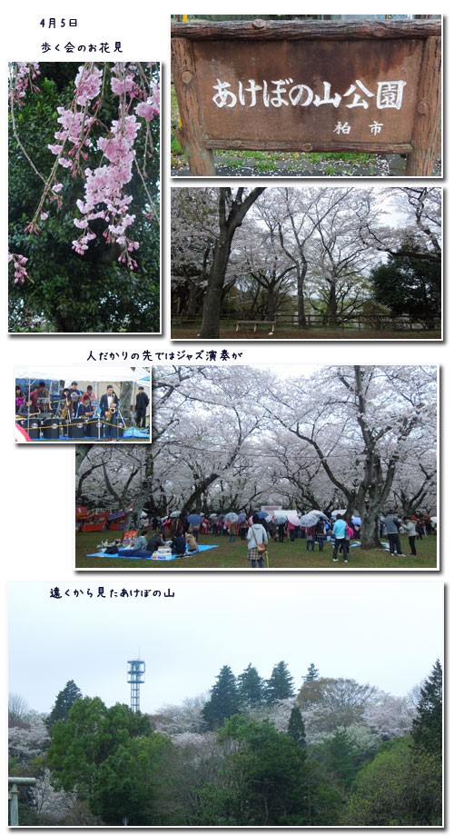 柏 あけぼの山公園へ_c0051105_1605782.jpg
