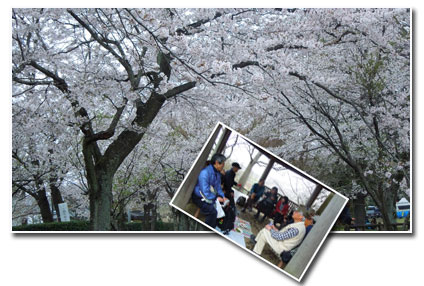 柏 あけぼの山公園へ_c0051105_163819.jpg