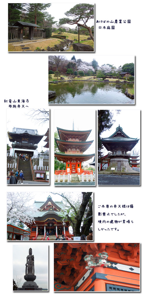 柏 あけぼの山公園へ_c0051105_1648616.jpg