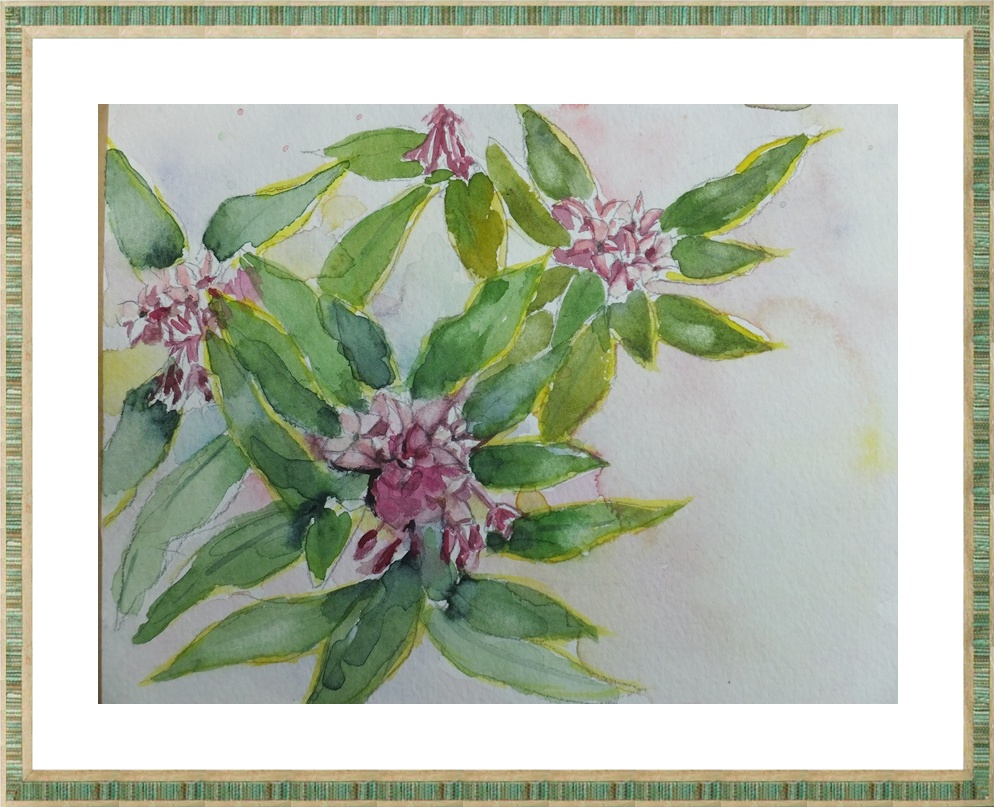無料発送 絵画 水彩画 沈丁花 絵画 タペストリー Server Jhf Com