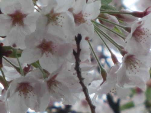 b0190908_20113023.jpg