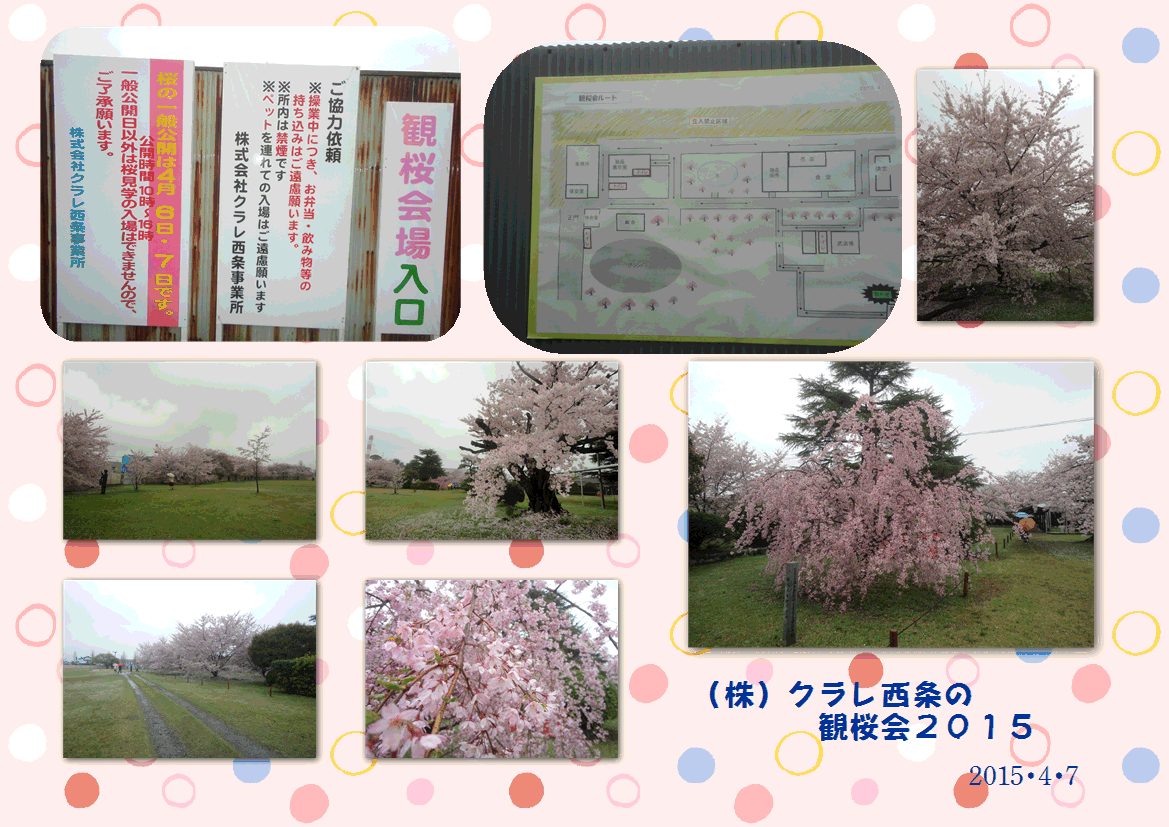 f0231709_1625432.gif