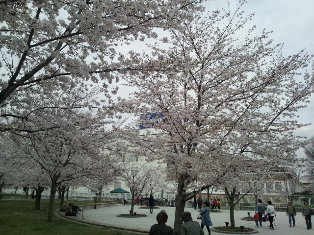 c0208011_15121950.jpg
