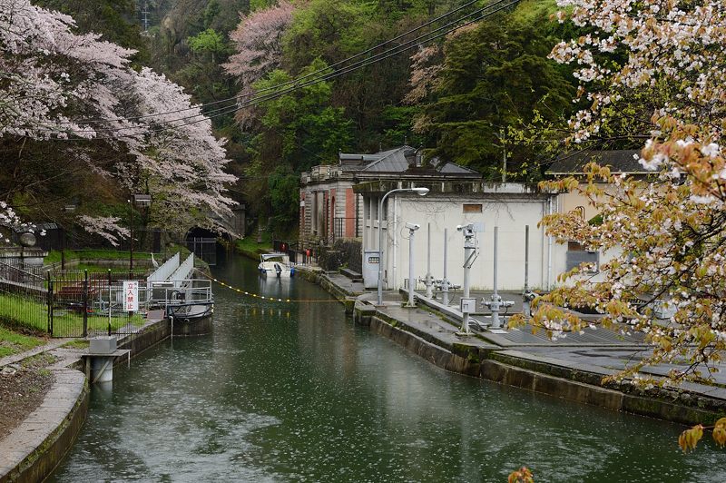 雨の桜巡り・蹴上インクライン_f0032011_19525314.jpg