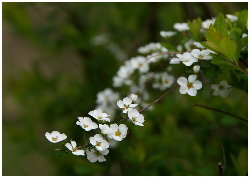 立田の森_b0037717_1240246.jpg