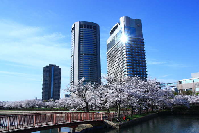 桜咲き誇る　桜ノ宮_f0209122_19513926.jpg