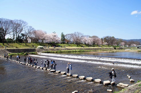 桜のトンネル　　～半木の道（京都）～_c0235725_13261925.jpg