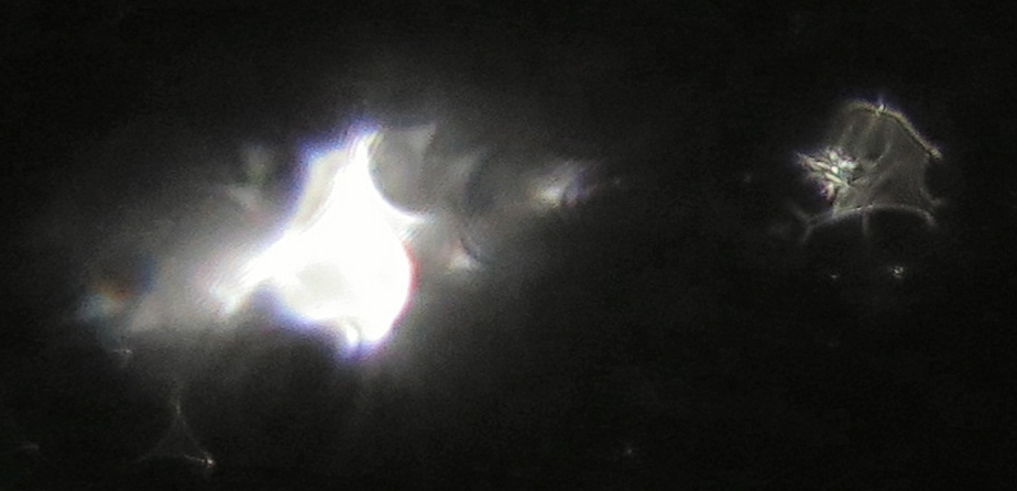 c0331825_03145619.jpg